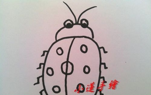 用油画棒怎样画七星瓢虫 用油画棒怎样画七星瓢虫