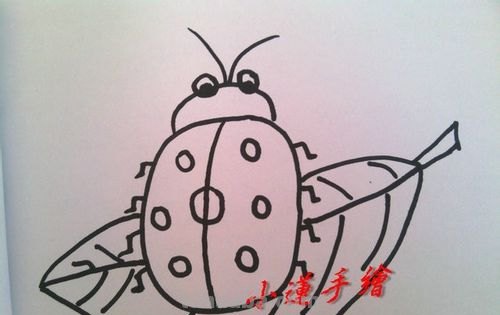 用油画棒怎样画七星瓢虫 用油画棒怎样画七星瓢虫