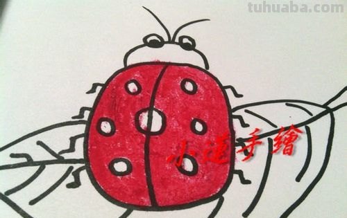 用油画棒怎样画七星瓢虫 用油画棒怎样画七星瓢虫