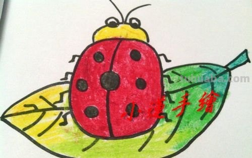 用油画棒怎样画七星瓢虫 用油画棒怎样画七星瓢虫