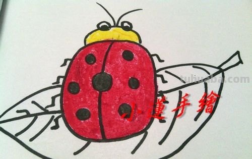 用油画棒怎样画七星瓢虫 用油画棒怎样画七星瓢虫