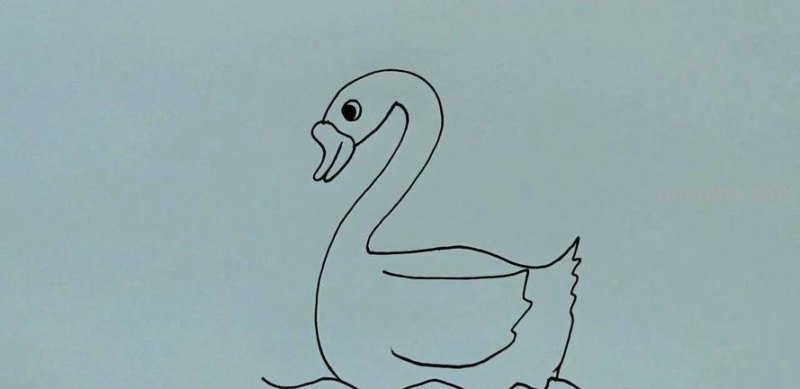 简笔画鹅怎么画 3-6岁儿童画大鹅？