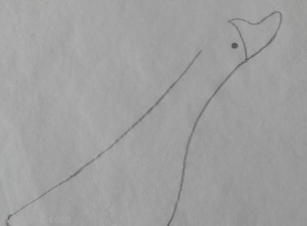 简笔画鹅怎么画 3-6岁儿童画大鹅? 简笔画鹅怎么画 3-6岁儿童画大鹅?