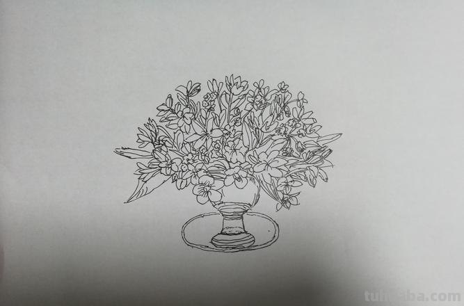 花草建筑速写 速写一盆花要多长时间？