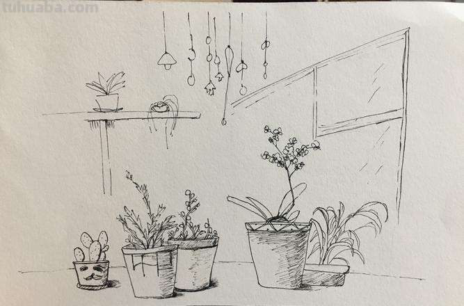 花草建筑速写 速写一盆花要多长时间?
