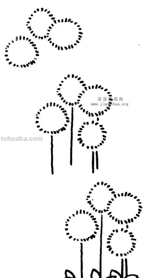 蒲公英简笔画 蒲公英简笔画简单又好看