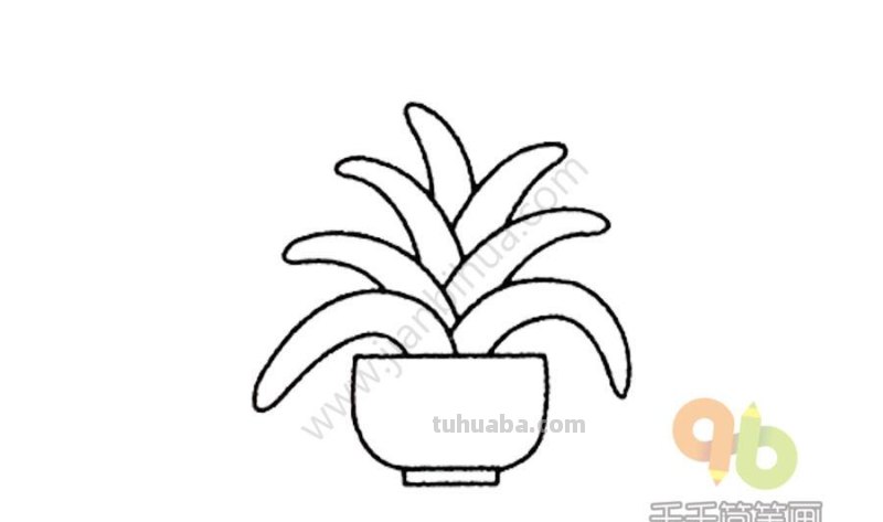 一波可爱又简单的小盆栽简笔画，简单易学哦，快收藏吧~