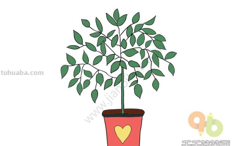 一波可爱又简单的小盆栽简笔画，简单易学哦，快收藏吧~