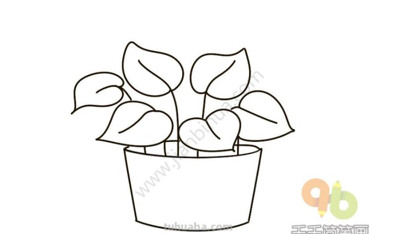 一波可爱又简单的小盆栽简笔画，简单易学哦，快收藏吧~