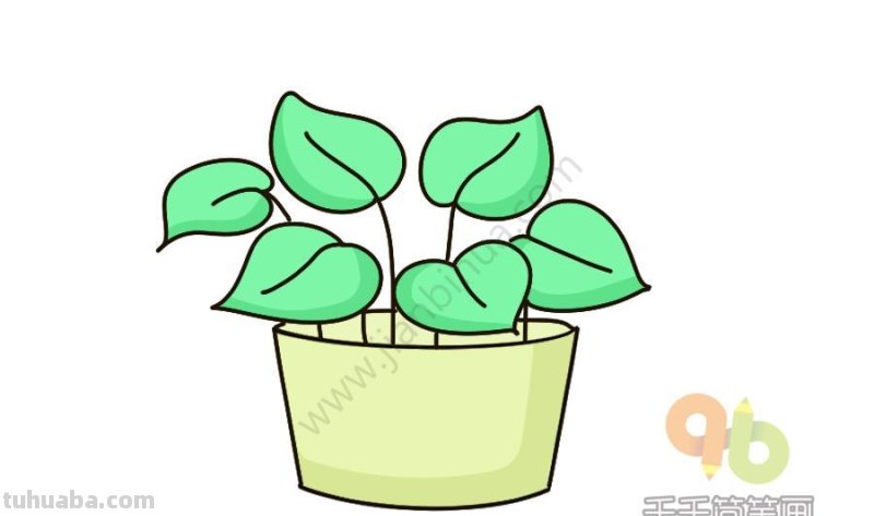 一波可爱又简单的小盆栽简笔画，简单易学哦，快收藏吧~
