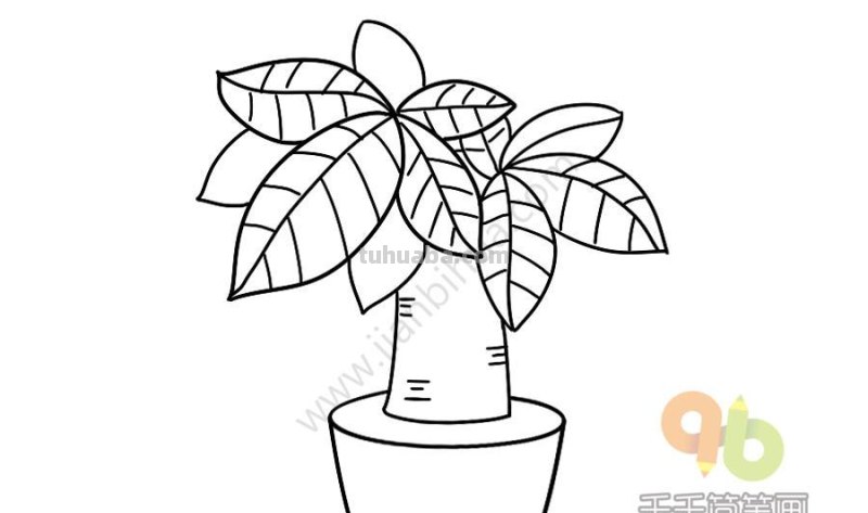 一波可爱又简单的小盆栽简笔画，简单易学哦，快收藏吧~