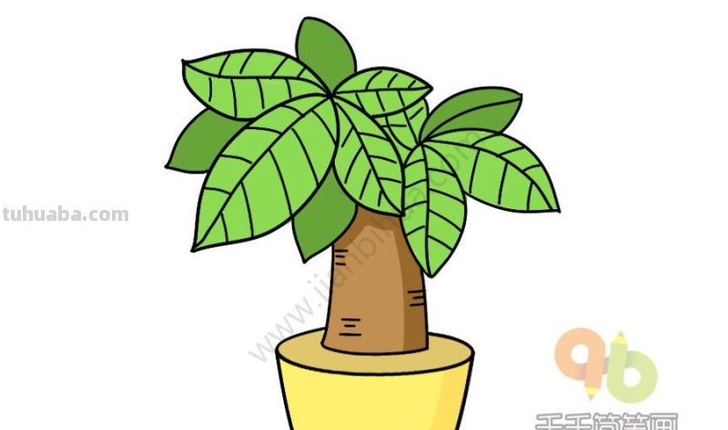 一波可爱又简单的小盆栽简笔画，简单易学哦，快收藏吧~