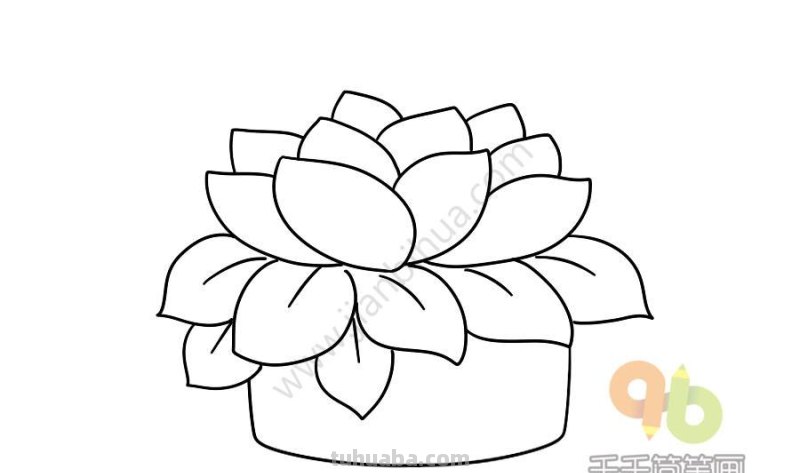 一波可爱又简单的小盆栽简笔画，简单易学哦，快收藏吧~
