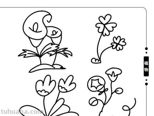 每天学一幅简笔画-30种动、植物画法的图解,一学就会