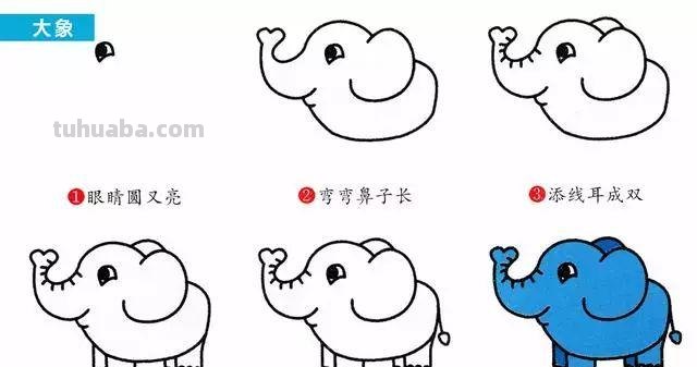 每天学一幅简笔画-30种动、植物画法的图解，一学就会