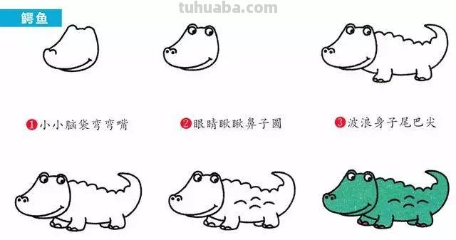 每天学一幅简笔画-30种动、植物画法的图解，一学就会