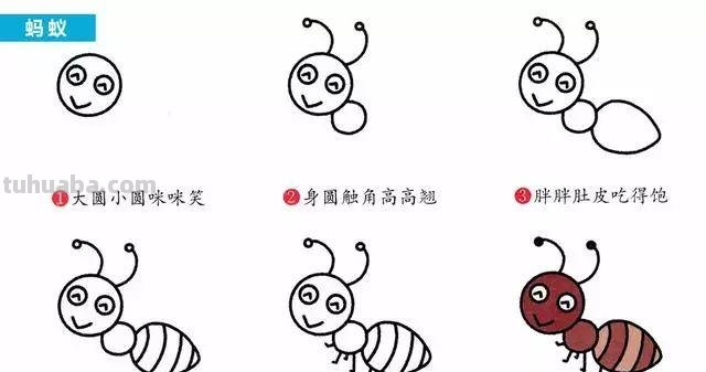 每天学一幅简笔画-30种动、植物画法的图解，一学就会