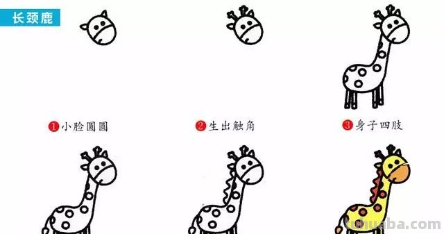 每天学一幅简笔画-30种动、植物画法的图解，一学就会