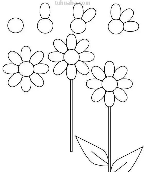 每天学一幅简笔画-30种动、植物画法的图解，一学就会