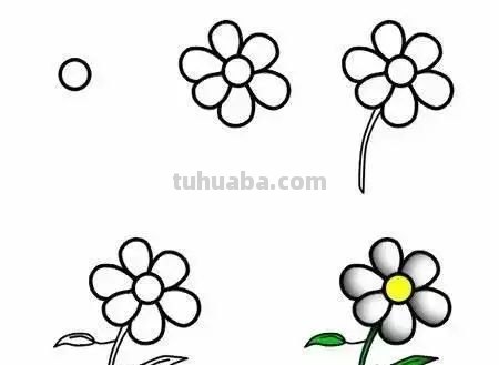 每天学一幅简笔画-30种动、植物画法的图解，一学就会