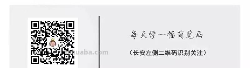 每天学一幅简笔画-30种动、植物画法的图解，一学就会