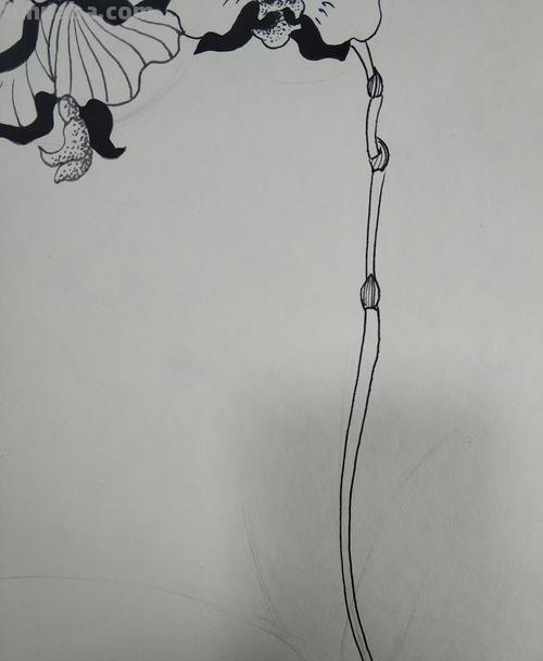 硬笔速写技巧 速写怎么解决线条流畅问题?