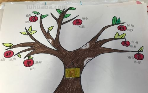 思维导图怎么画美 思维导图怎么画好看?