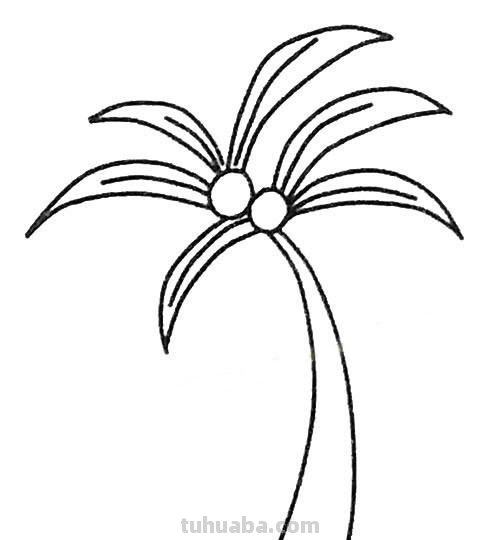 椰子树简笔画的画法 椰子树简笔画的画法图片