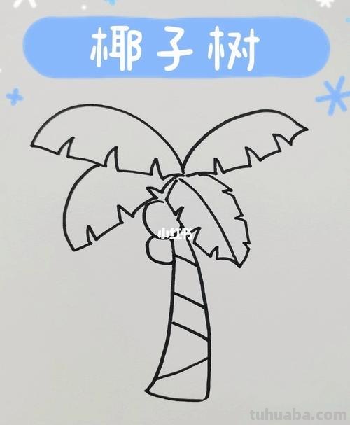 椰子树简笔画的画法 椰子树简笔画的画法图片