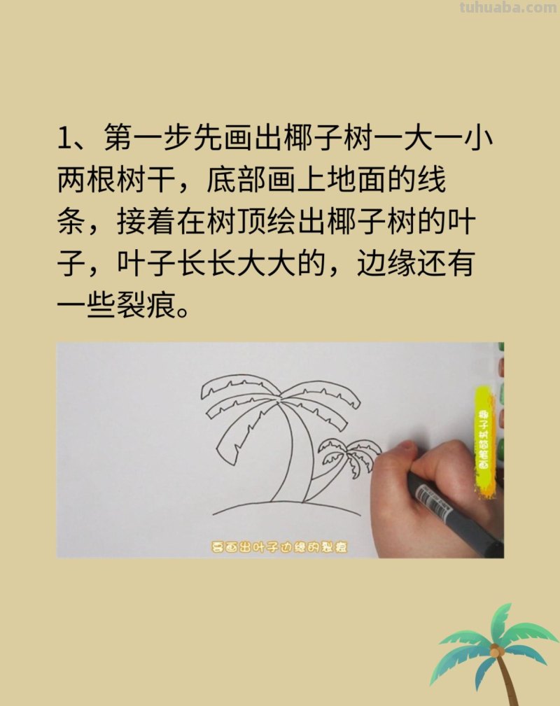 椰子树简笔画 椰子树简笔画