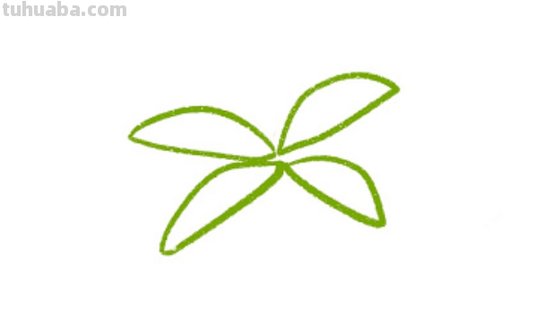 椰子树怎么画简单又漂亮图片 椰子树怎么画简单又漂亮图片