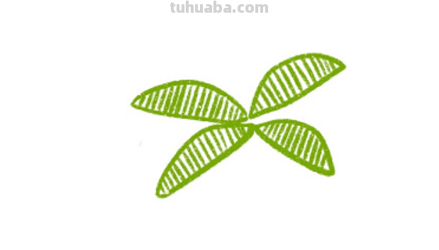 椰子树怎么画简单又漂亮图片 椰子树怎么画简单又漂亮图片