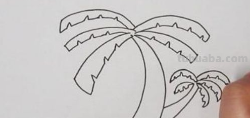 椰子树怎么画 简单 椰子树怎么画 简单