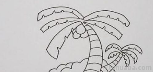 椰子树怎么画 简单 椰子树怎么画 简单