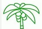 椰子树怎么画 椰子树怎么画
