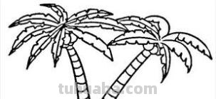 椰子树怎么画 椰子树怎么画
