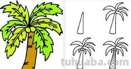 椰子树怎么画 椰子树怎么画
