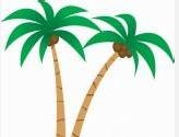 椰子树怎么画 椰子树怎么画