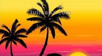 椰子树怎么画 椰子树怎么画