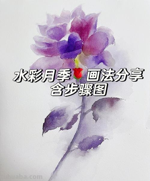 水彩教程图~教你画水彩~