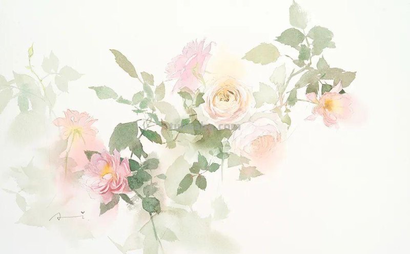 日本著名水彩花卉画家中村爱：三思而后行