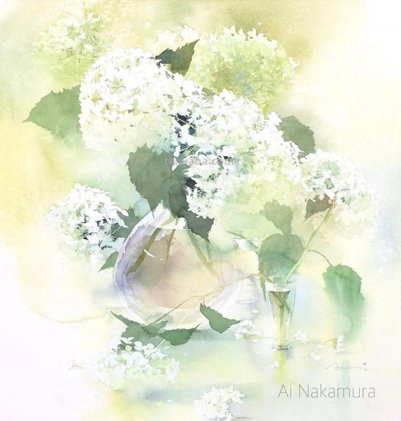 日本著名水彩花卉画家中村爱：三思而后行