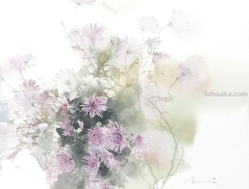 日本著名水彩花卉画家中村爱：三思而后行