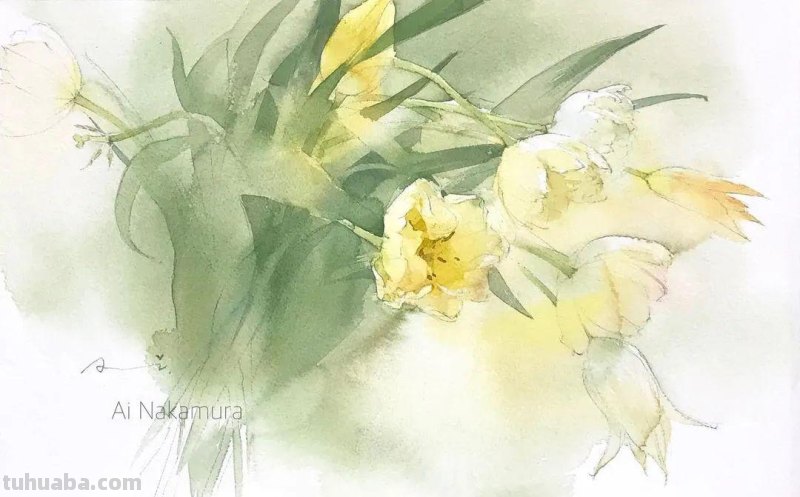 日本著名水彩花卉画家中村爱：三思而后行