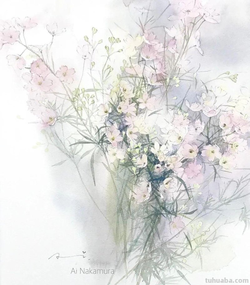 日本著名水彩花卉画家中村爱：三思而后行