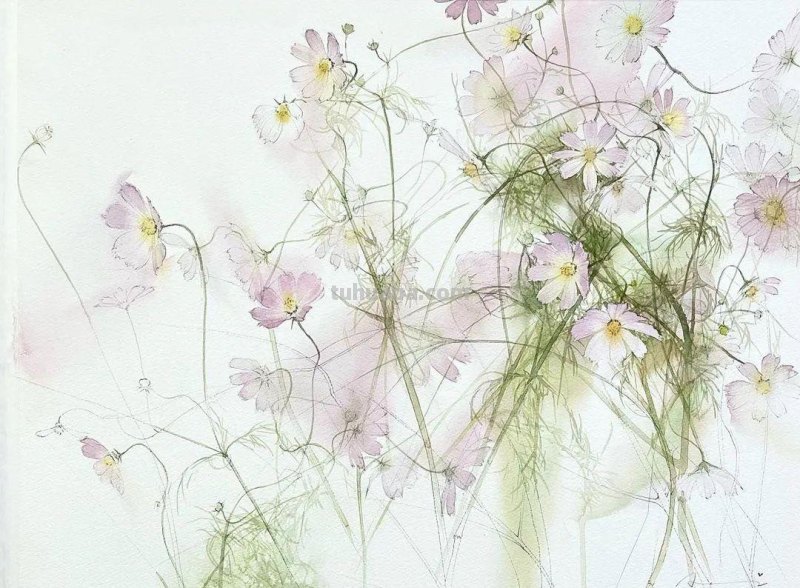 日本著名水彩花卉画家中村爱：三思而后行