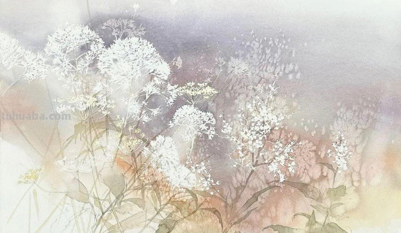 日本著名水彩花卉画家中村爱：三思而后行