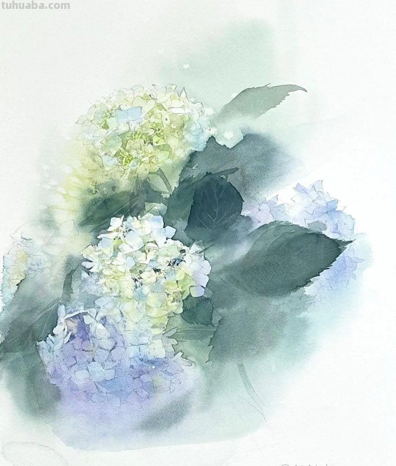 日本著名水彩花卉画家中村爱：三思而后行