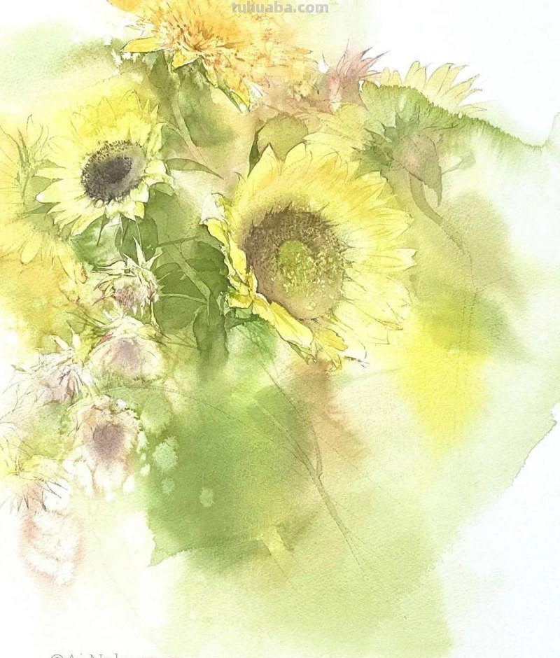 日本著名水彩花卉画家中村爱：三思而后行