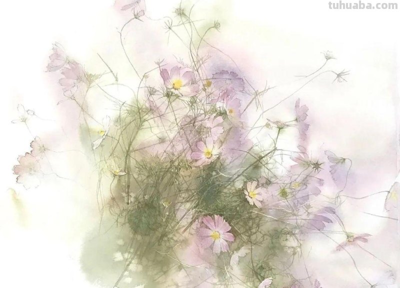 日本著名水彩花卉画家中村爱：三思而后行